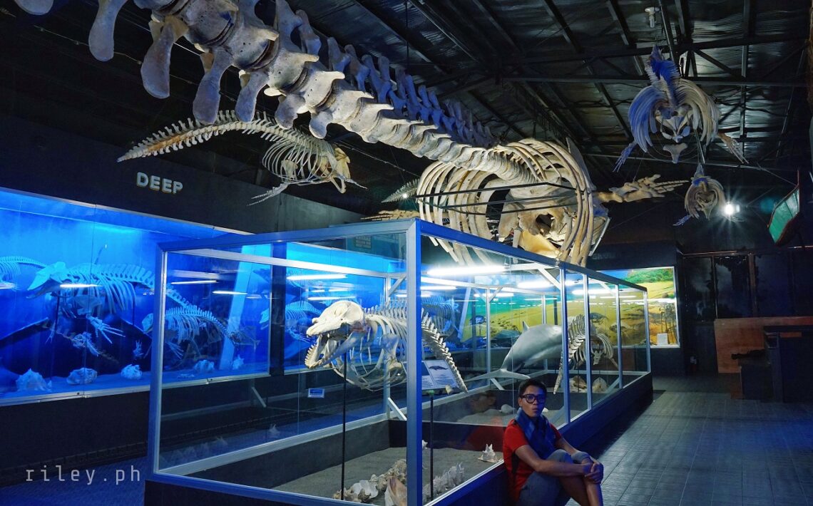 D' Bone Collector Museum, Davao City, Davao del Sur, Philippines