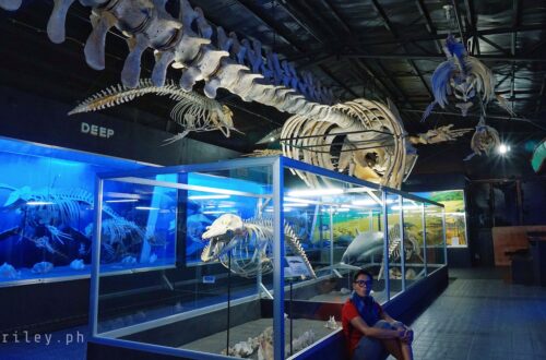 D' Bone Collector Museum, Davao City, Davao del Sur, Philippines