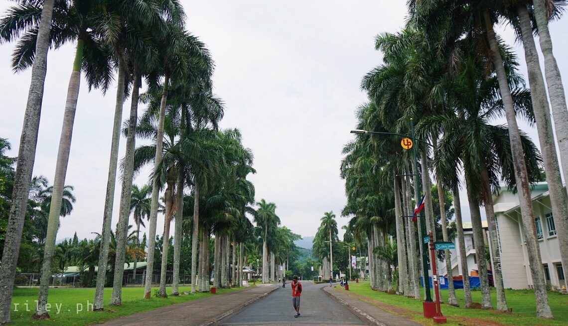 University of the Philippines Los Baños, Laguna, Philippines