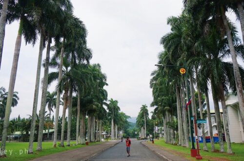 University of the Philippines Los Baños, Laguna, Philippines