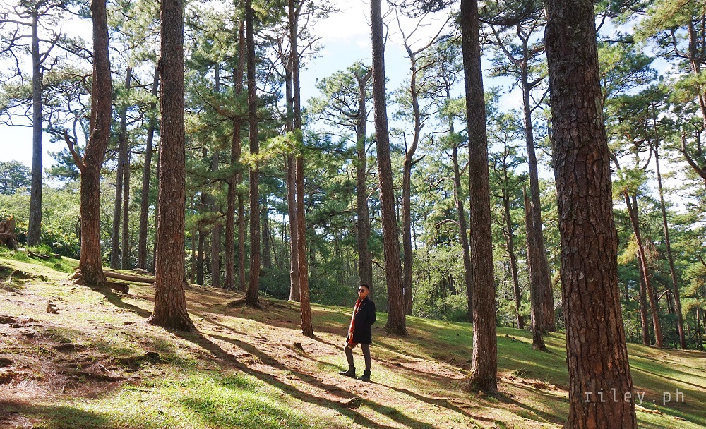 Camp John Hay, Baguio City, Benguet. Philippines