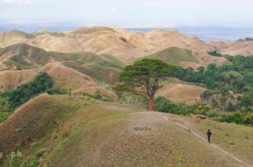 Mt. 387, Carranglan, Nueva Ecija, Philippines