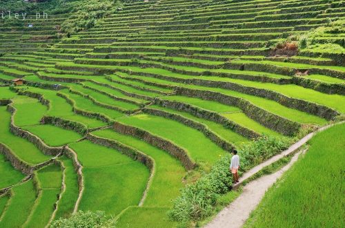 Batad Rice Terraces, Banaue, Ifugao, Philippines