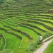 Batad Rice Terraces, Banaue, Ifugao, Philippines