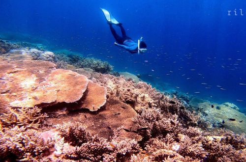 Dumaran, Palawan, Philippines